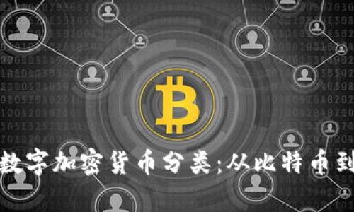 全面解析数字加密货币分类：从比特币到新兴币种