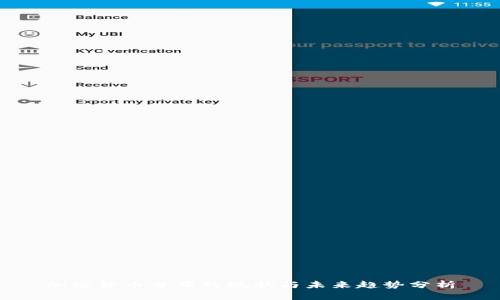 加密货币分布的现状与未来趋势分析