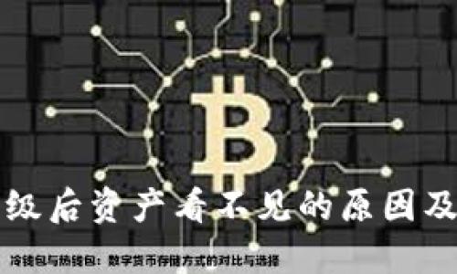 TP钱包升级后资产看不见的原因及解决办法