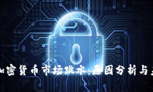 : 美国加密货币市场跳水：原因分析与未来展望