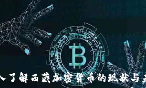   
深入了解西藏加密货币的现状与未来